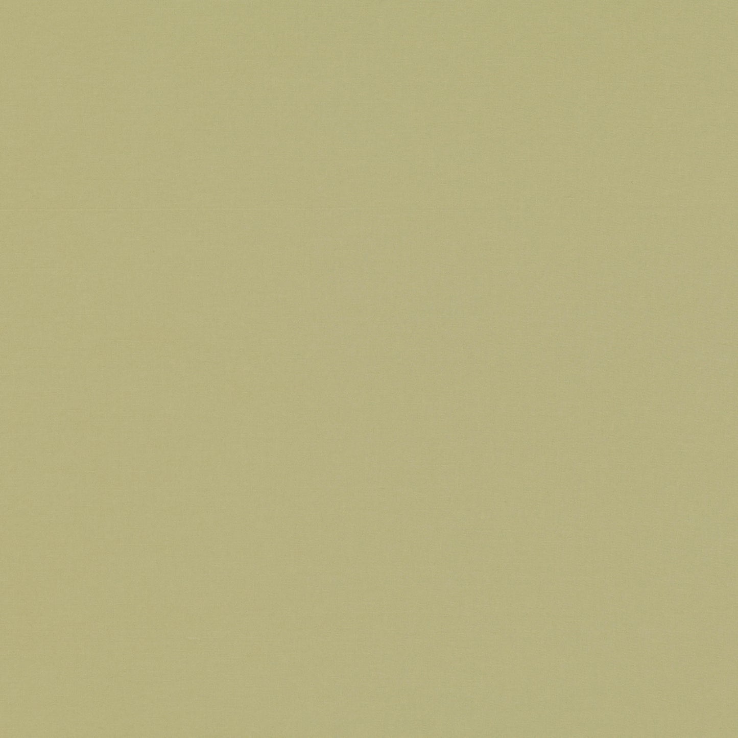 Romo Celino Pistachio