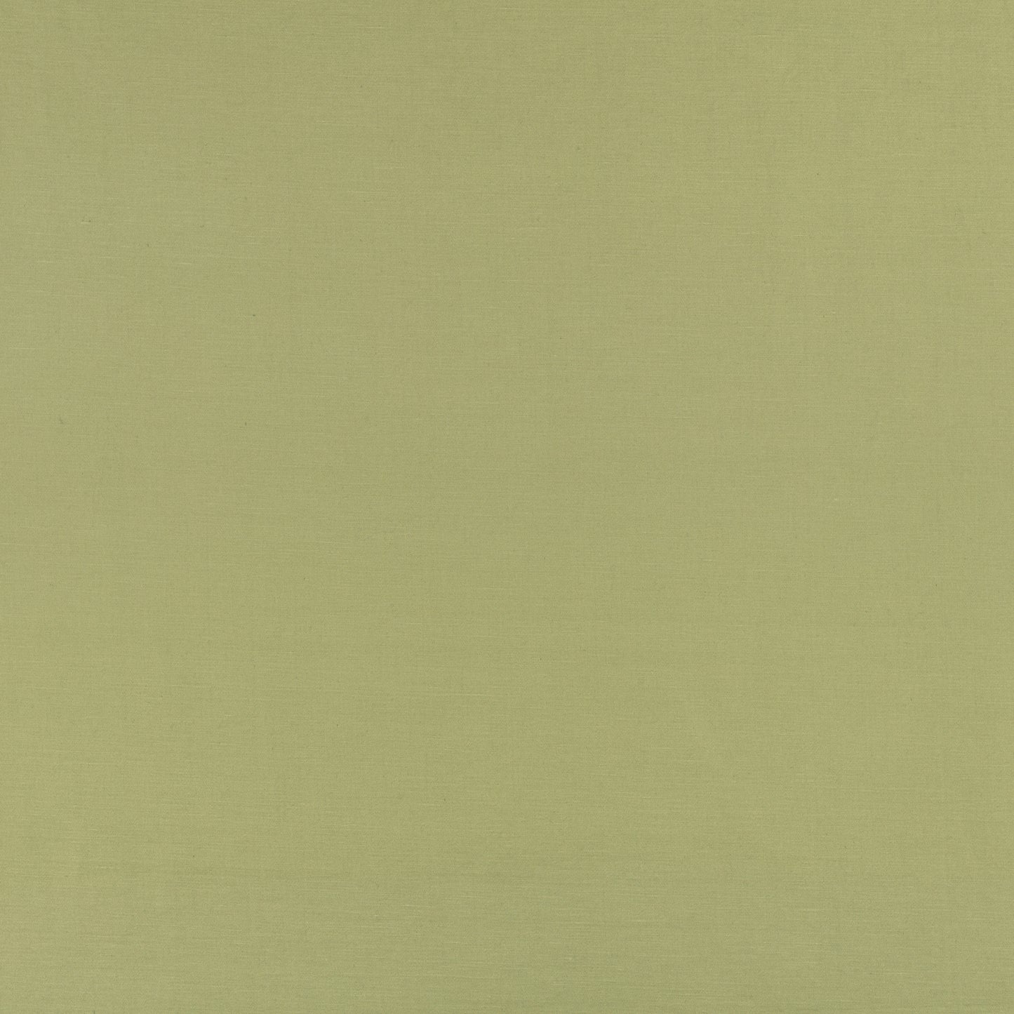 Romo Celino Matcha
