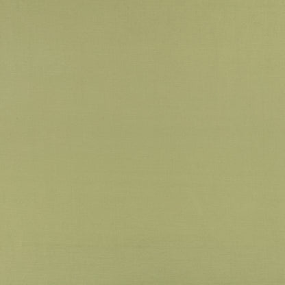 Romo Celino Matcha