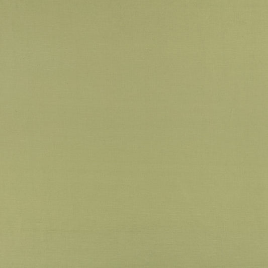 Romo Celino Matcha