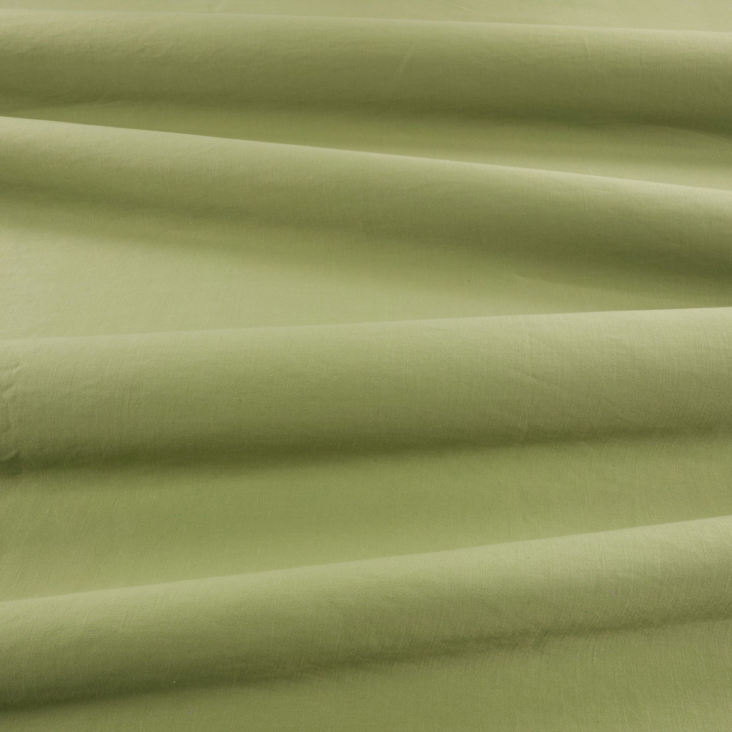 Romo Celino Matcha