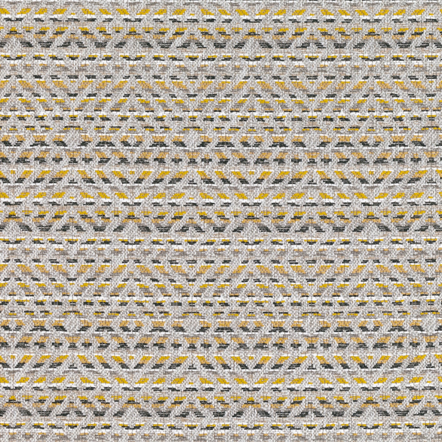 Romo Mokolo Maize Outdoor