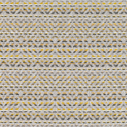 Romo Mokolo Maize Outdoor