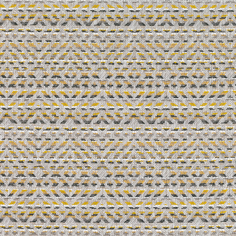 Romo Mokolo Maize Outdoor