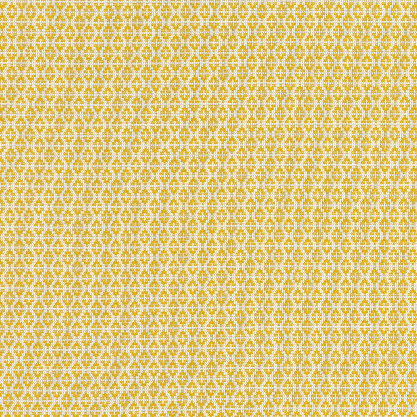 Romo Ituri Maize Outdoor