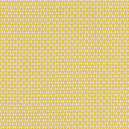 Romo Ituri Maize Outdoor