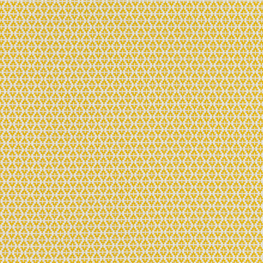 Romo Ituri Maize Outdoor