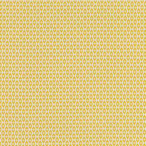 Romo Ituri Maize Outdoor