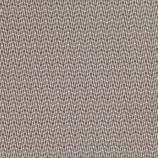 Romo Lopez Nori Outdoor