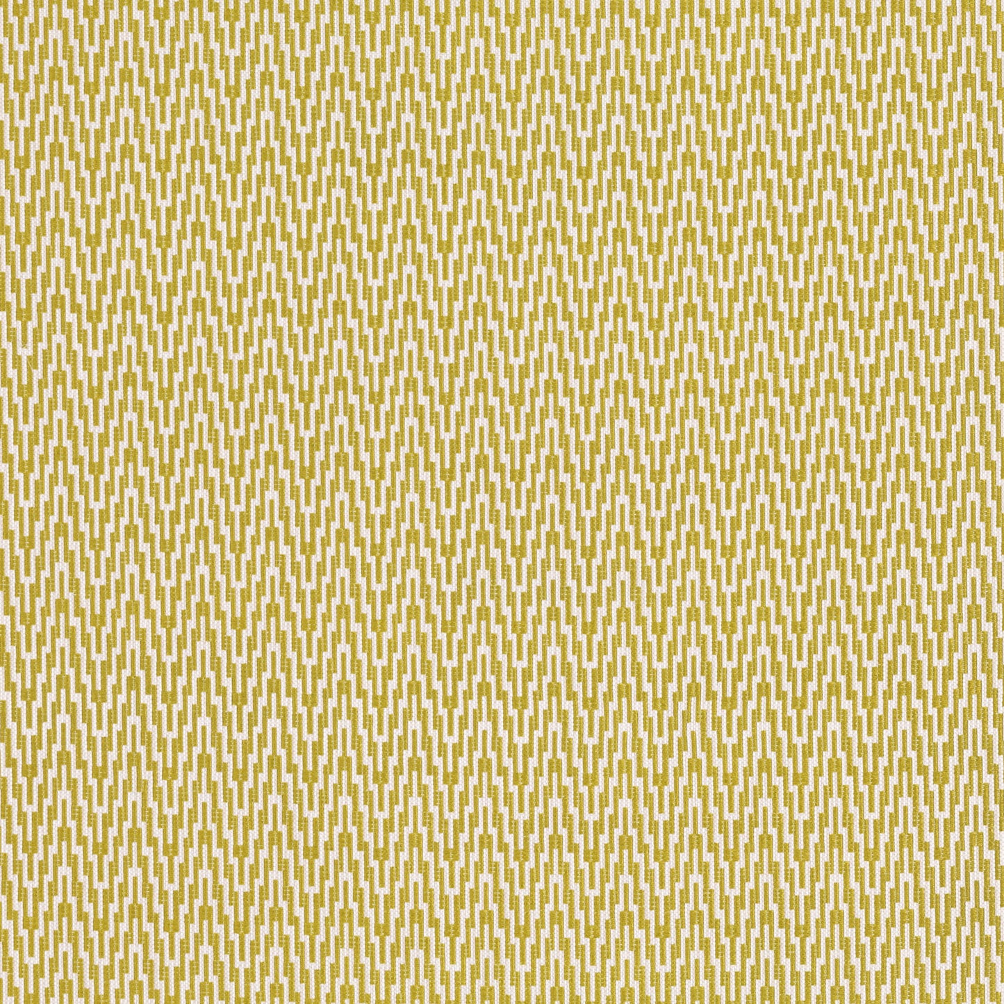 Romo Lopez Wasabi Outdoor
