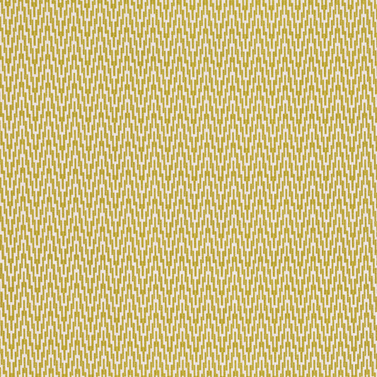 Romo Lopez Wasabi Outdoor