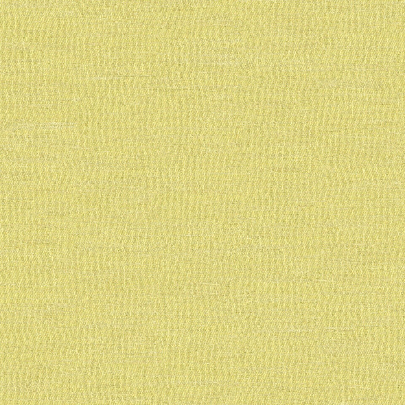 Prestigious Textiles Boutique Lime