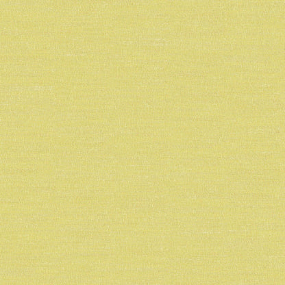 Prestigious Textiles Boutique Lime