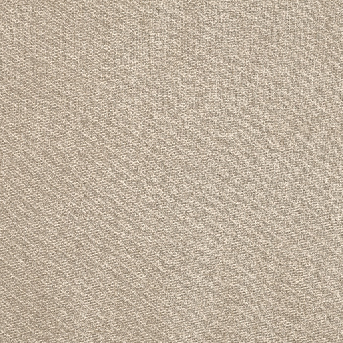 Prestigious Textiles Otto Biscotti