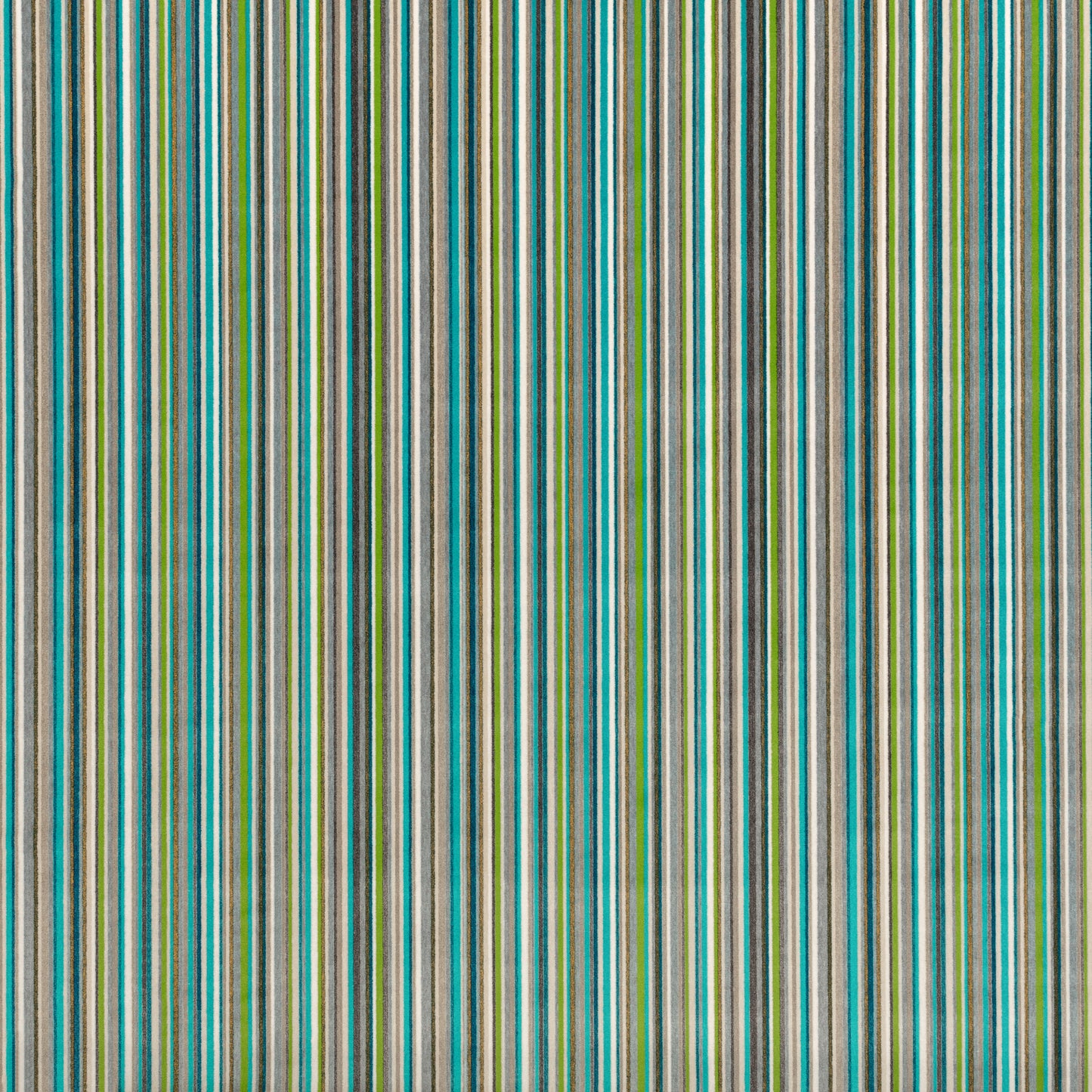 Romo Akiti Outdoor Basil