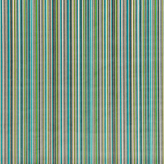 Romo Akiti Outdoor Basil