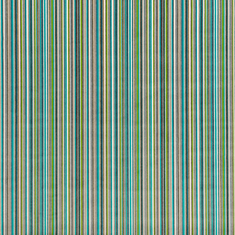 Romo Akiti Outdoor Basil