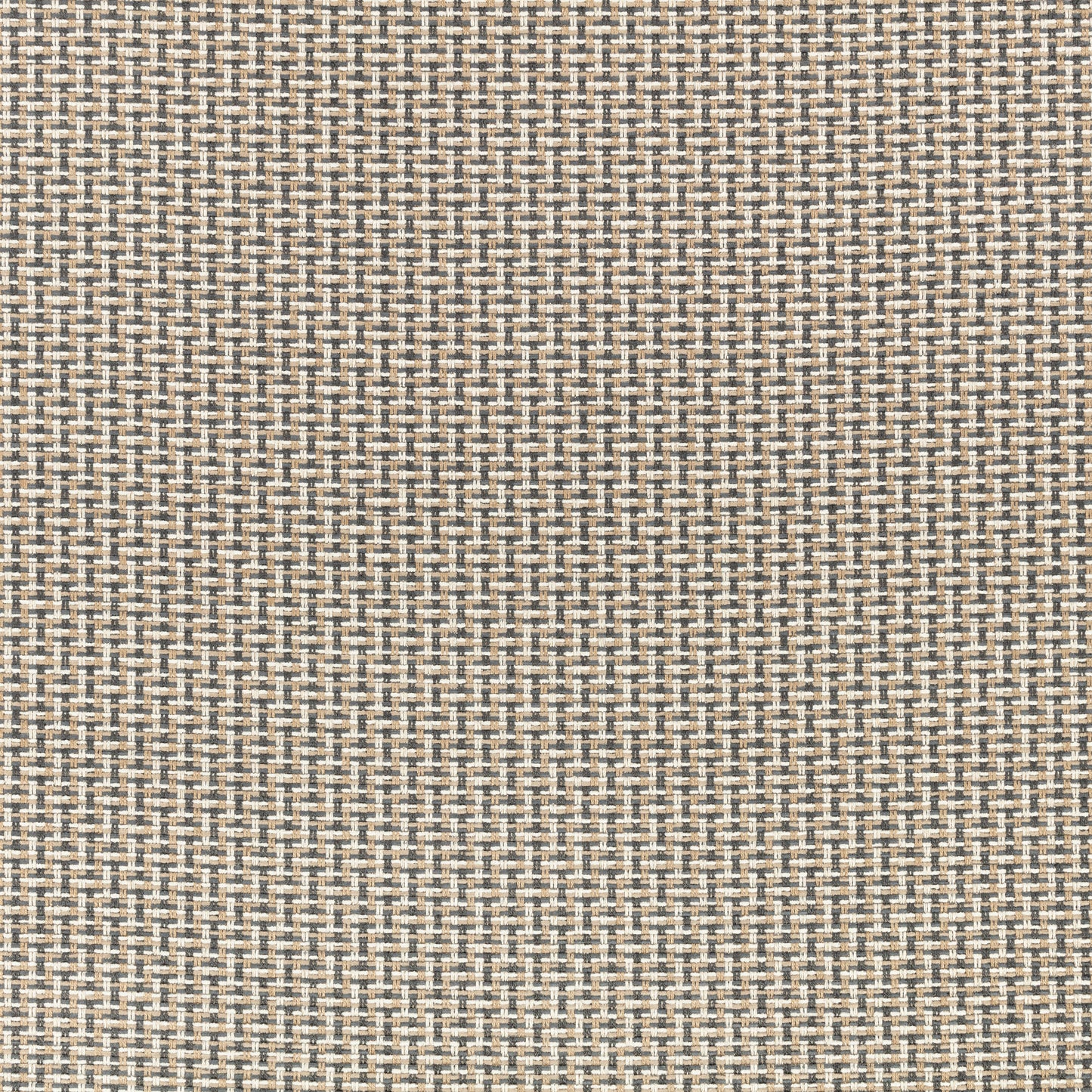 Romo Kiku Tamarind