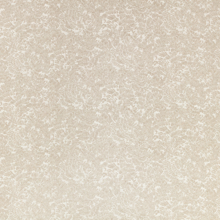 Romo Shiri Quartzite