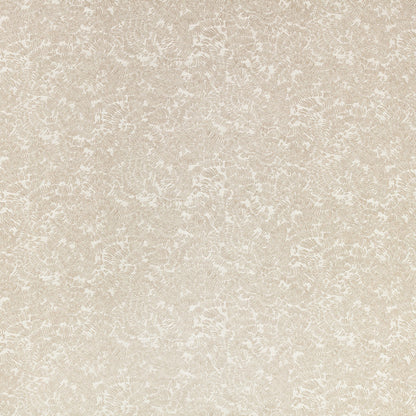 Romo Shiri Quartzite