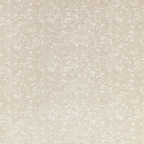 Romo Shiri Quartzite