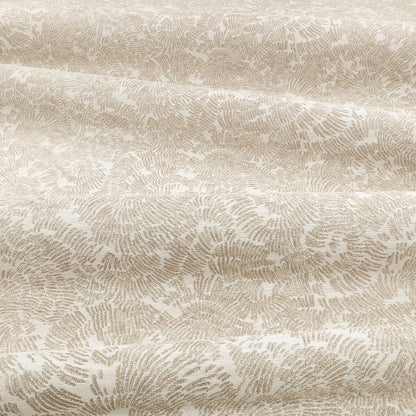 Romo Shiri Quartzite