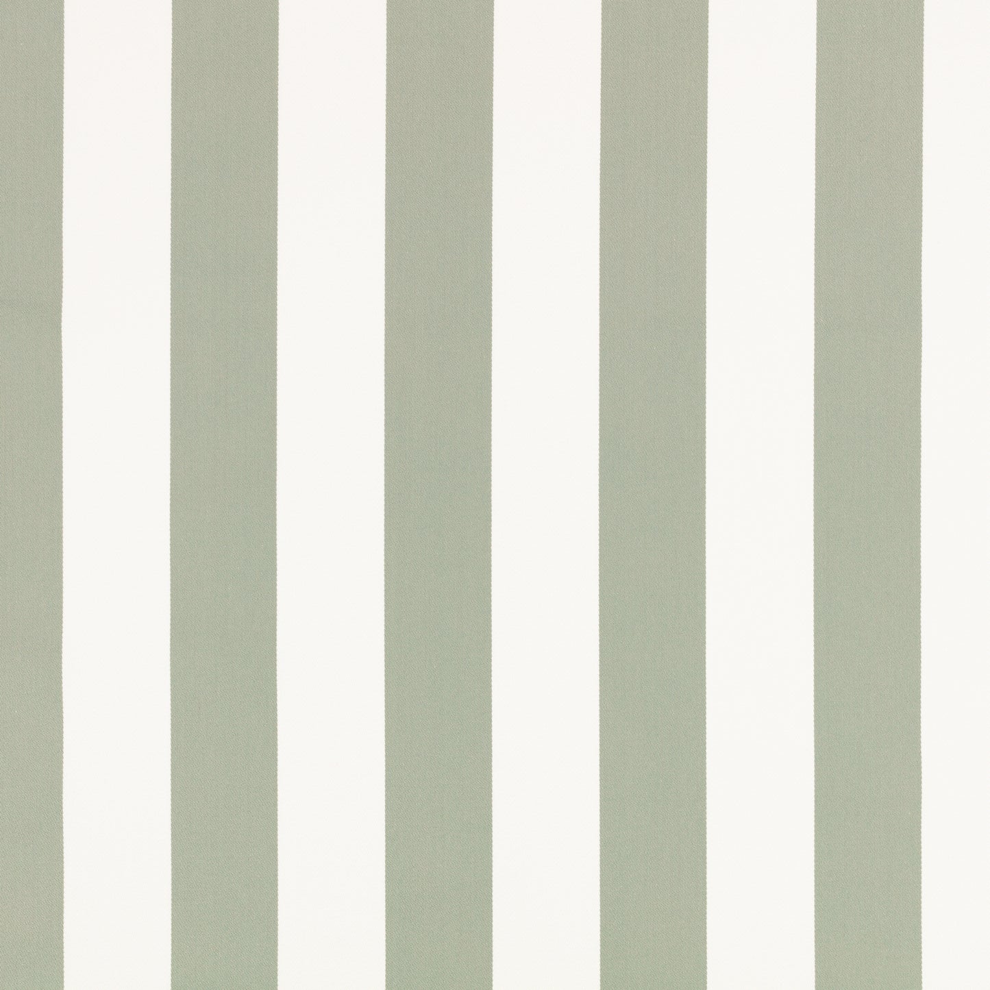 Romo Aron Eucalyptus