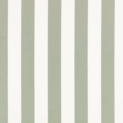 Romo Aron Eucalyptus