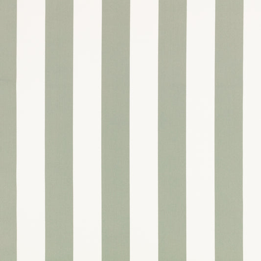 Romo Aron Eucalyptus