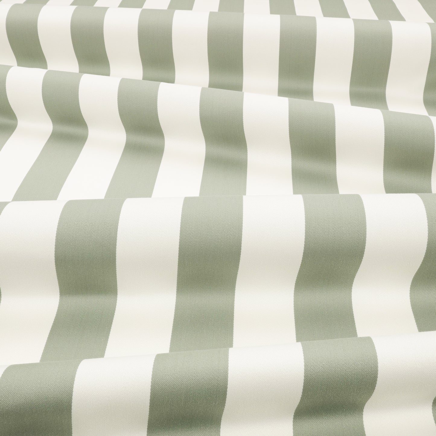 Romo Aron Eucalyptus