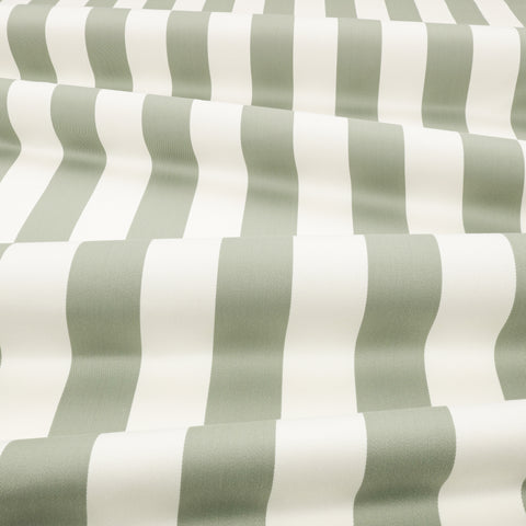 Romo Aron Eucalyptus