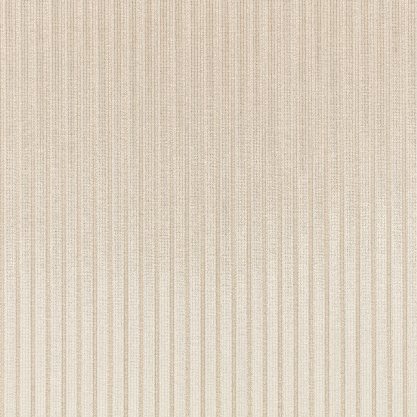 Romo Stria Jasmine