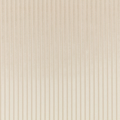 Romo Stria Jasmine