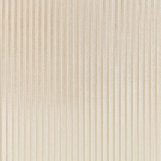 Romo Stria Jasmine