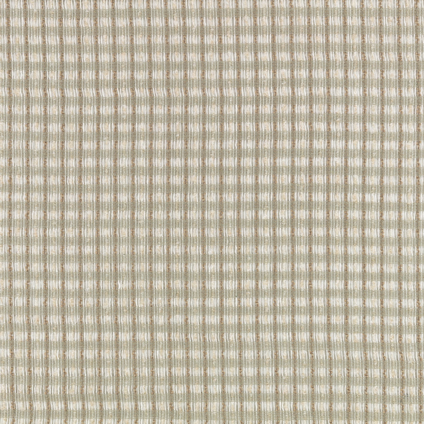 Romo Elva Lemongrass