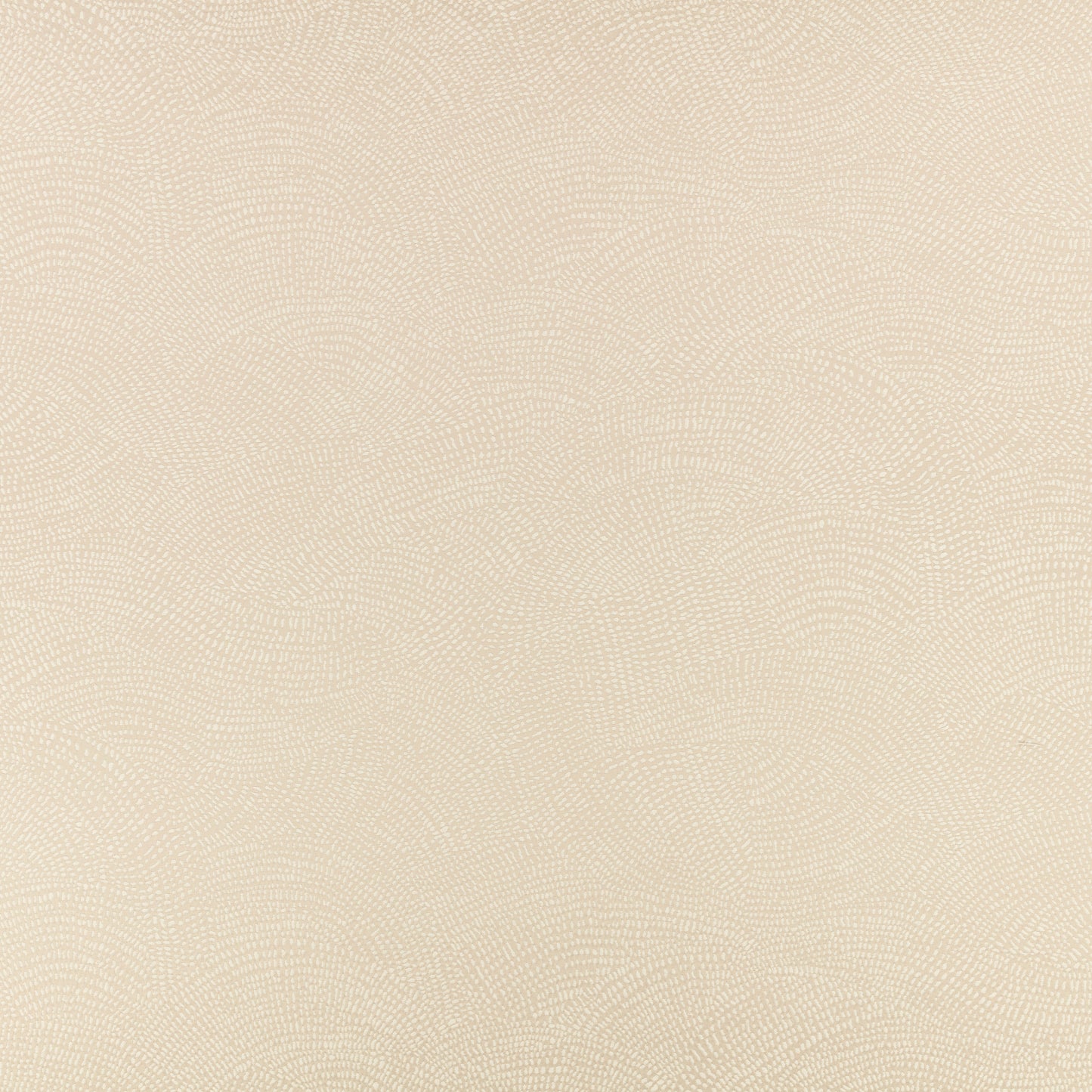 Romo Nivu Rice Paper