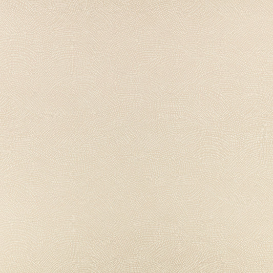 Romo Nivu Rice Paper