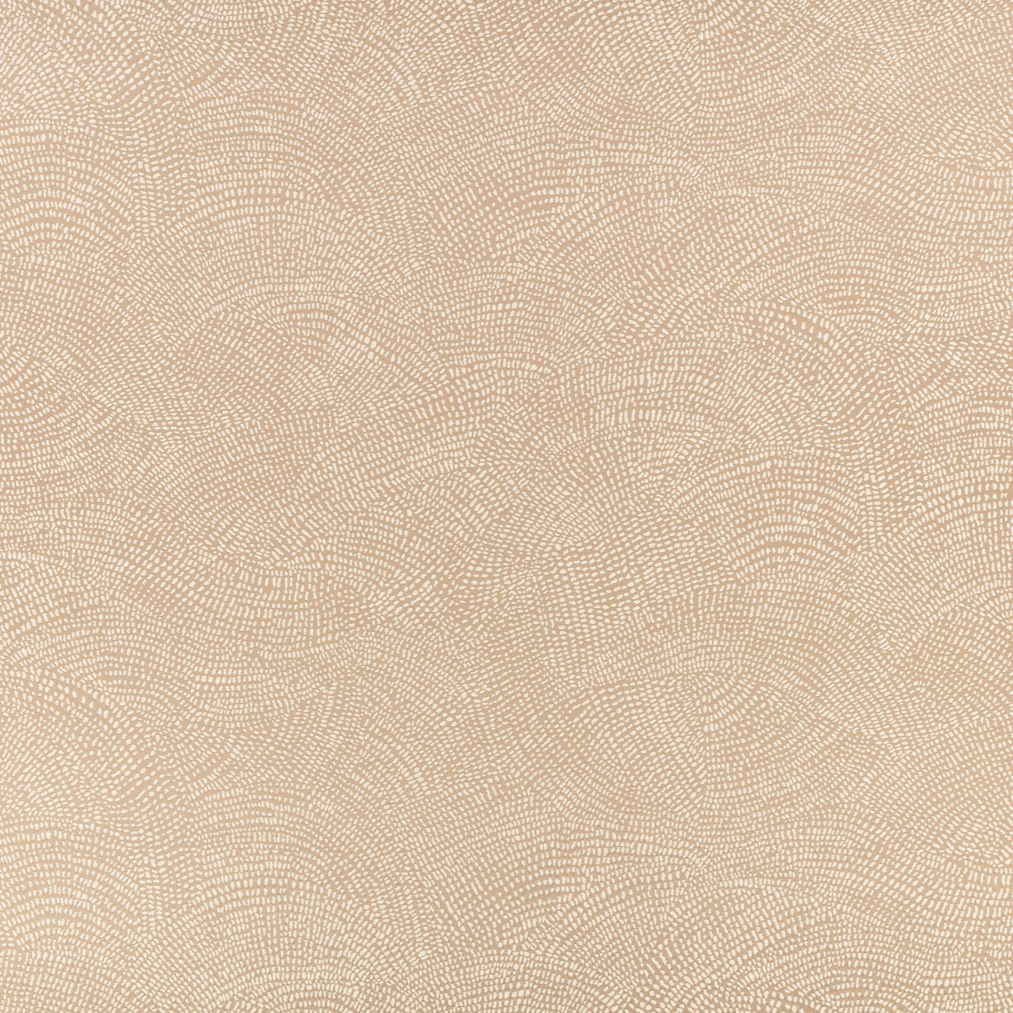 Romo Nivu Almond