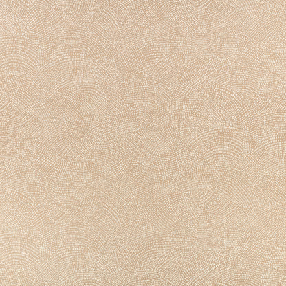 Romo Nivu Almond