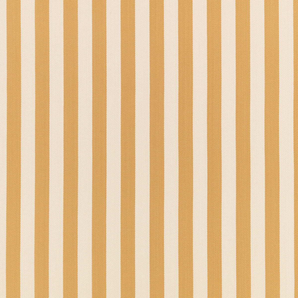 Romo Arie Ochre