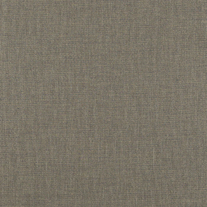 Fryetts Nevada Pampas