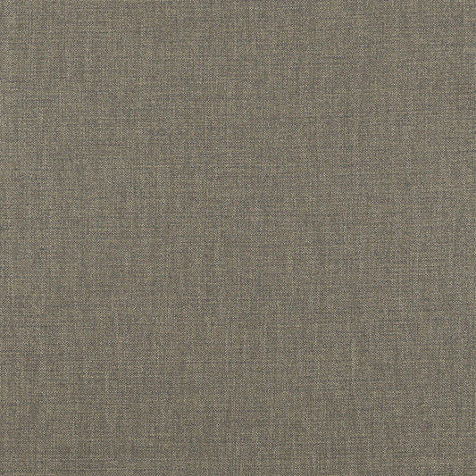 Fryetts Nevada Pampas