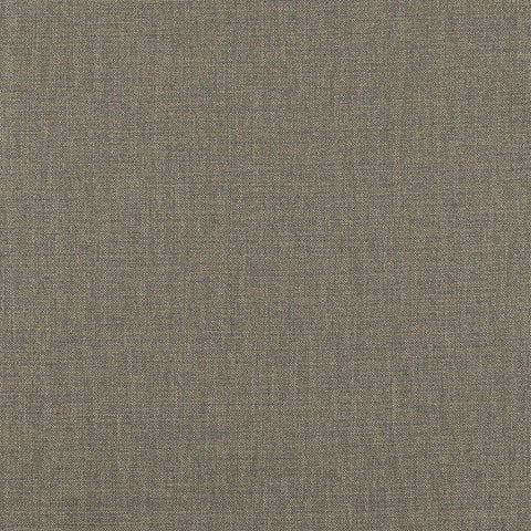 Fryetts Nevada Pampas