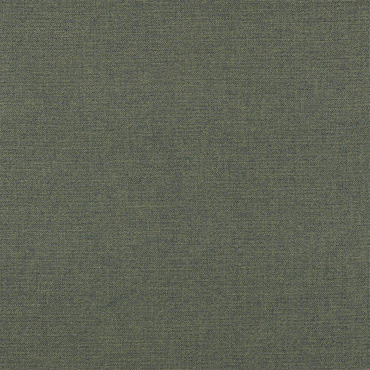 Fryetts Nevada Forrest