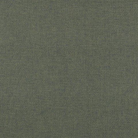 Fryetts Nevada Forrest