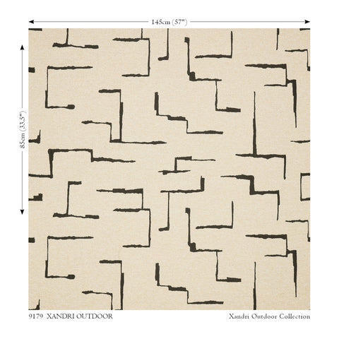 Black Edition Xandri Outdoor Avocet