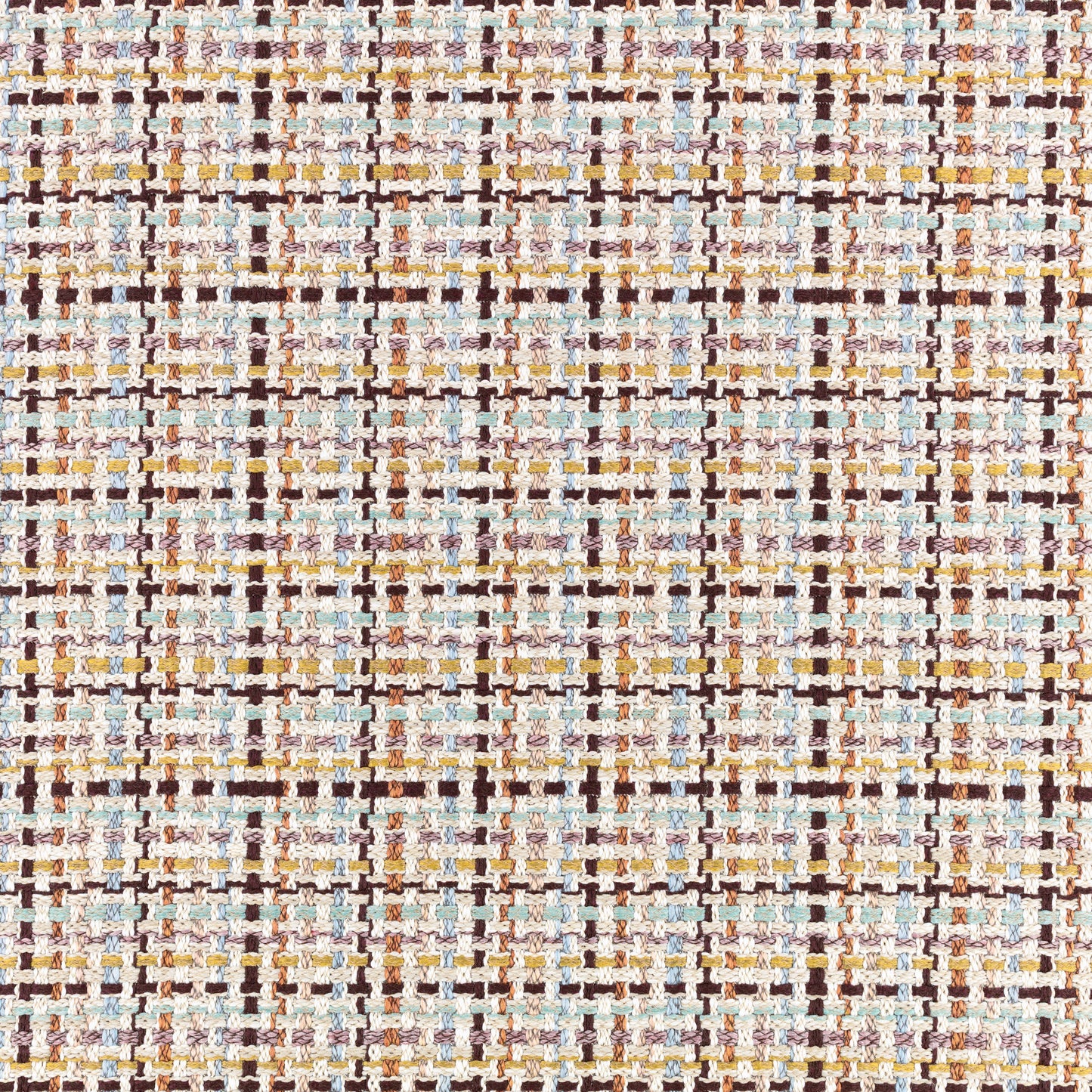 Black Edition Zeni Outdoor Multi