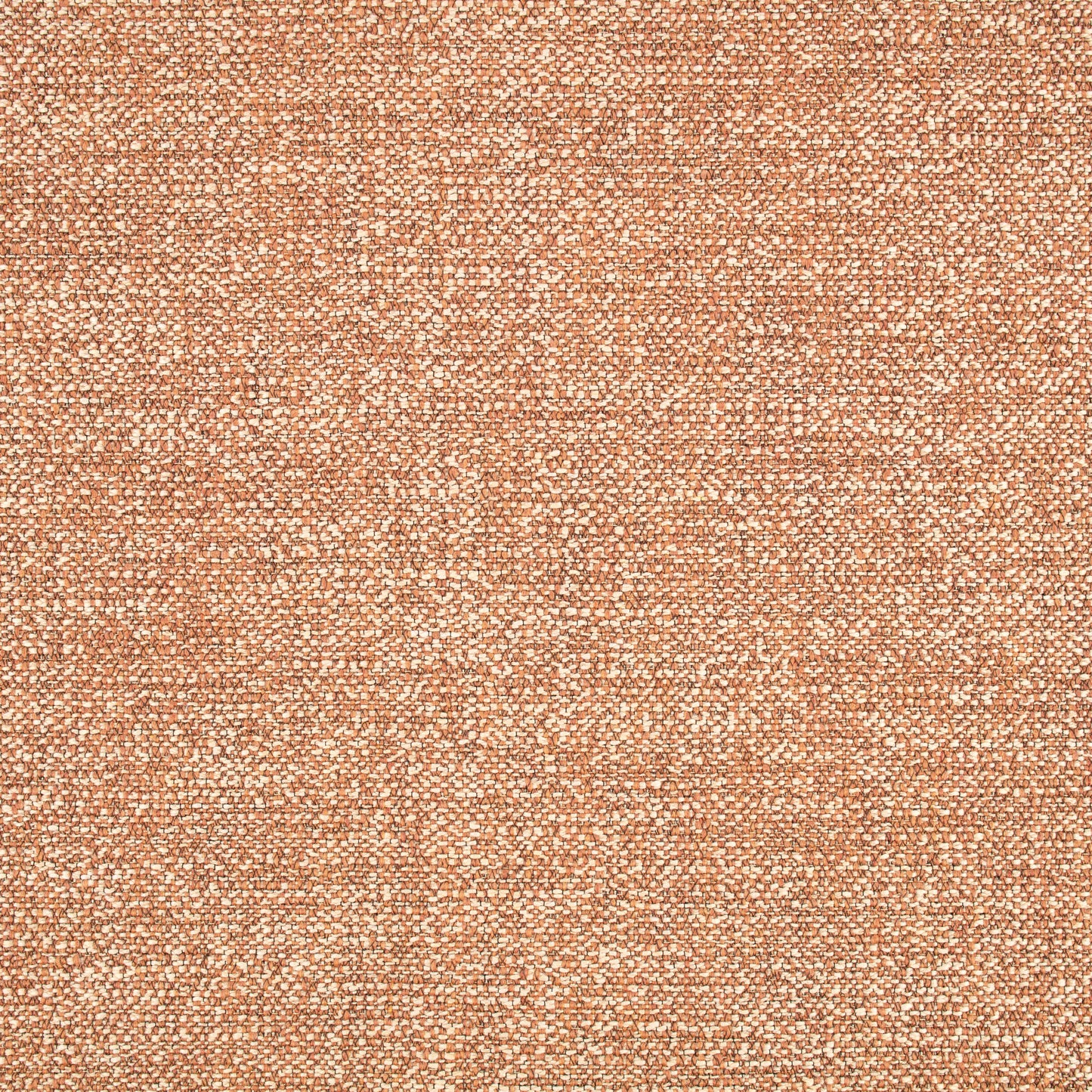 Black Edition Este Outdoor Mehndi