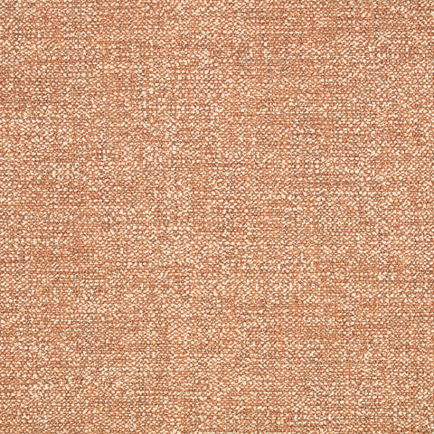 Black Edition Este Outdoor Mehndi