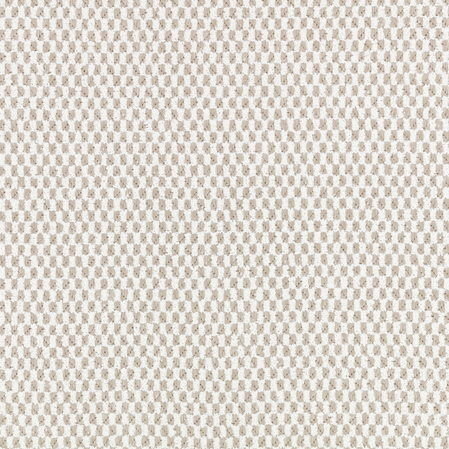 Black Edition Marca Outdoor Jicama